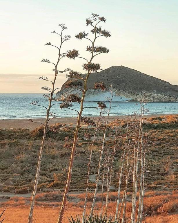 Magnifica Casa Con Encanto En Agua Amarga Agua Amarga  Exterior foto